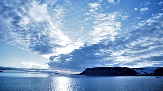 1559547411305156.png 1558578757235900.png